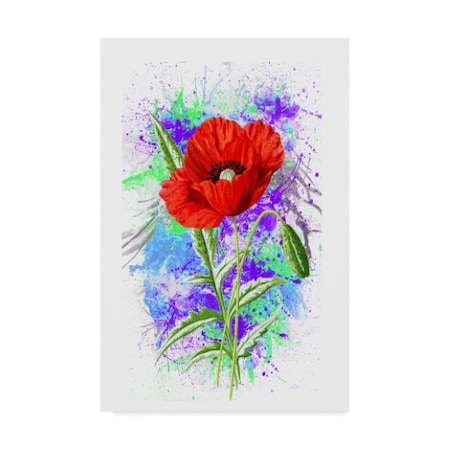 Ata Alishahi 'Poppy Flowers' Canvas Art,12x19